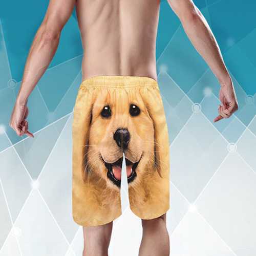 Funny 3D Dog Printing Quick Dry Summer Beach Board Shorts