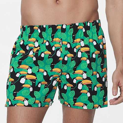 Printing Cotton Skin-friendly Bottoming Sleeping Boxers Casual Arrow Shorts Pajamas for Men