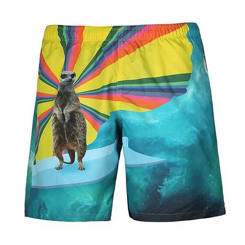 Mens Quick Drying Printing Beach Swimming Surf Shorts Personality Loose Fit Casual Knee Length